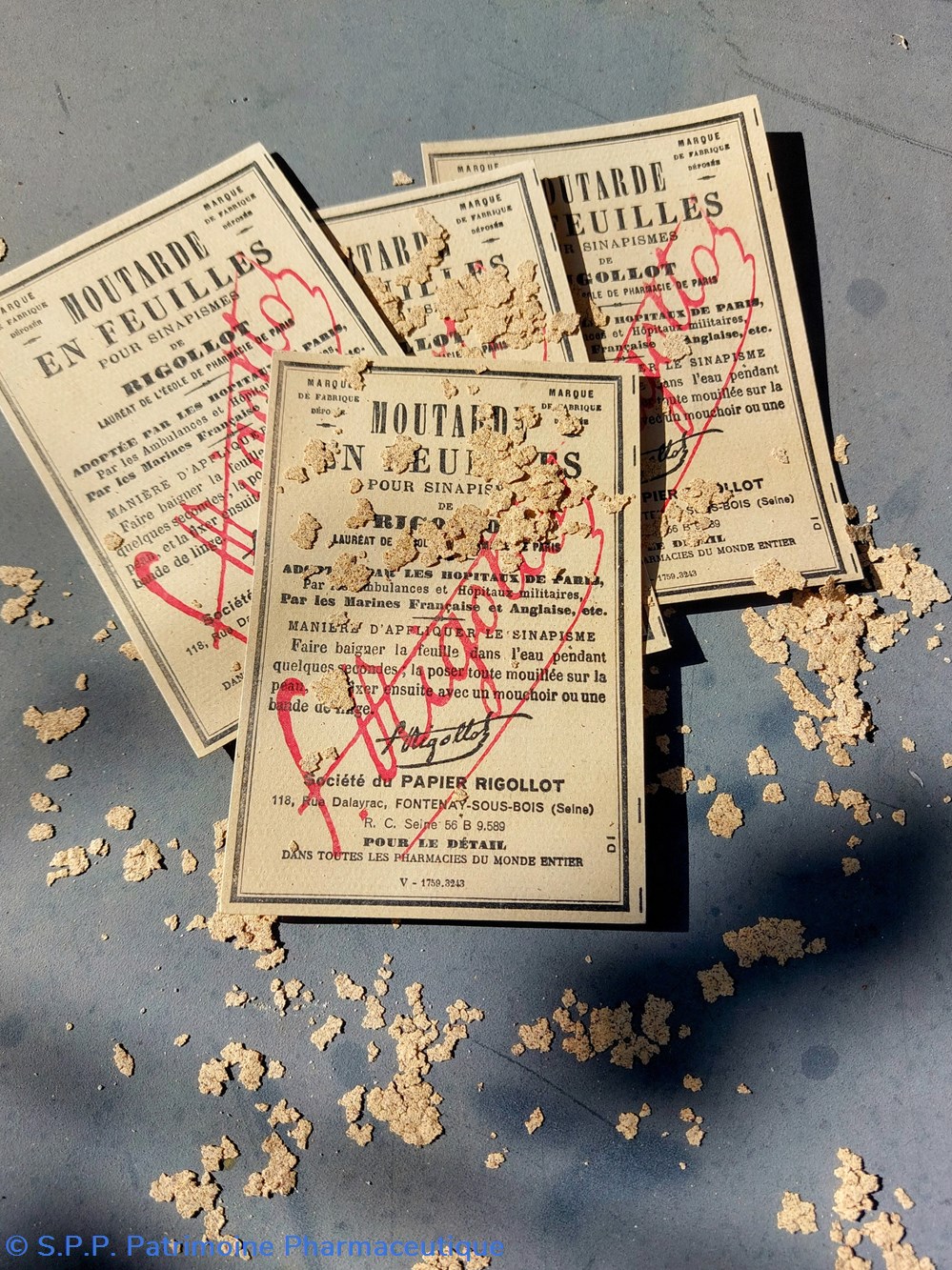 MOUTARDE en feuilles /Sinapisme de RIGOLLOT 3 science pharmacie moutarde en feuilles sinapisme de rigollot