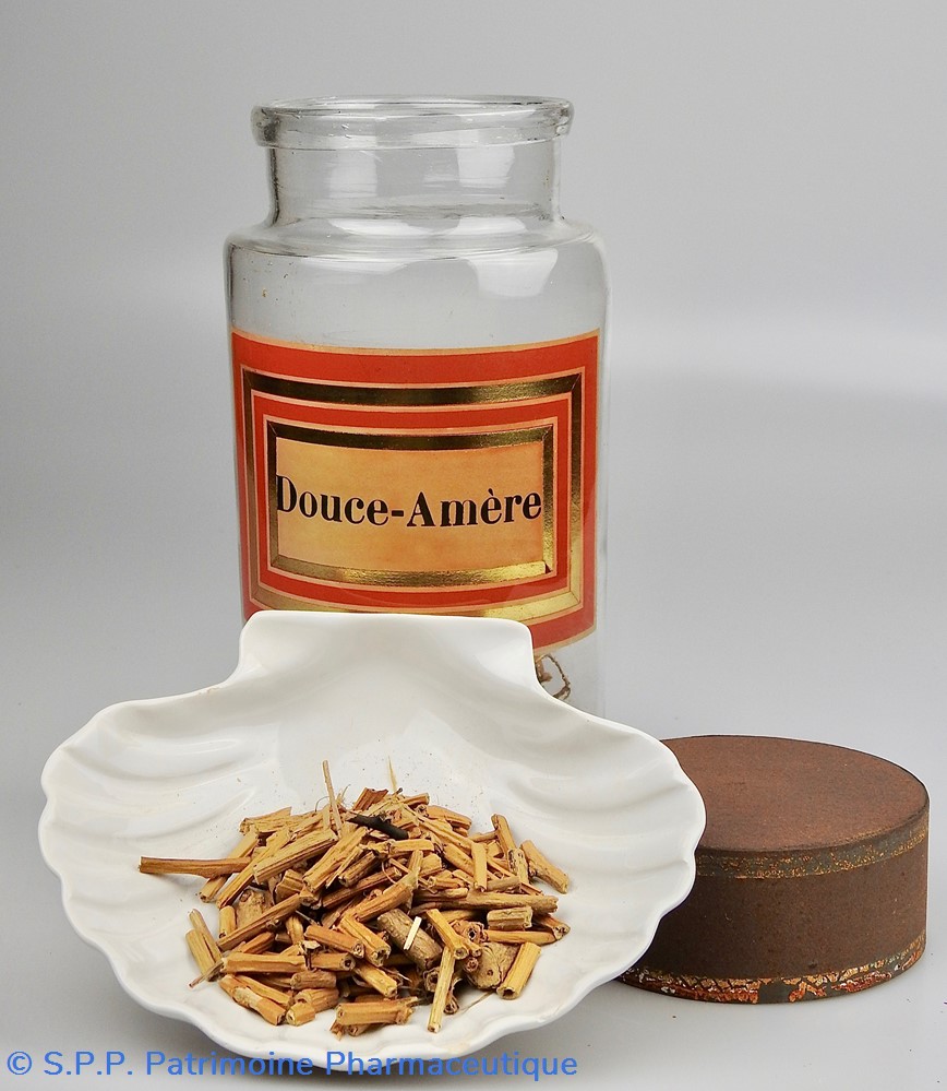 Flacon en verre Herboristerie grand modèle Pharmacie RAVASSE 5 science flacon en verre herboristerie grand modele pharmacie ravasse