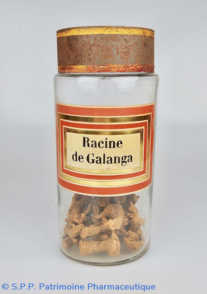 Flacon en verre Herboristerie grand modèle Pharmacie RAVASSE science flacon en verre herboristerie grand modele pharmacie ravasse