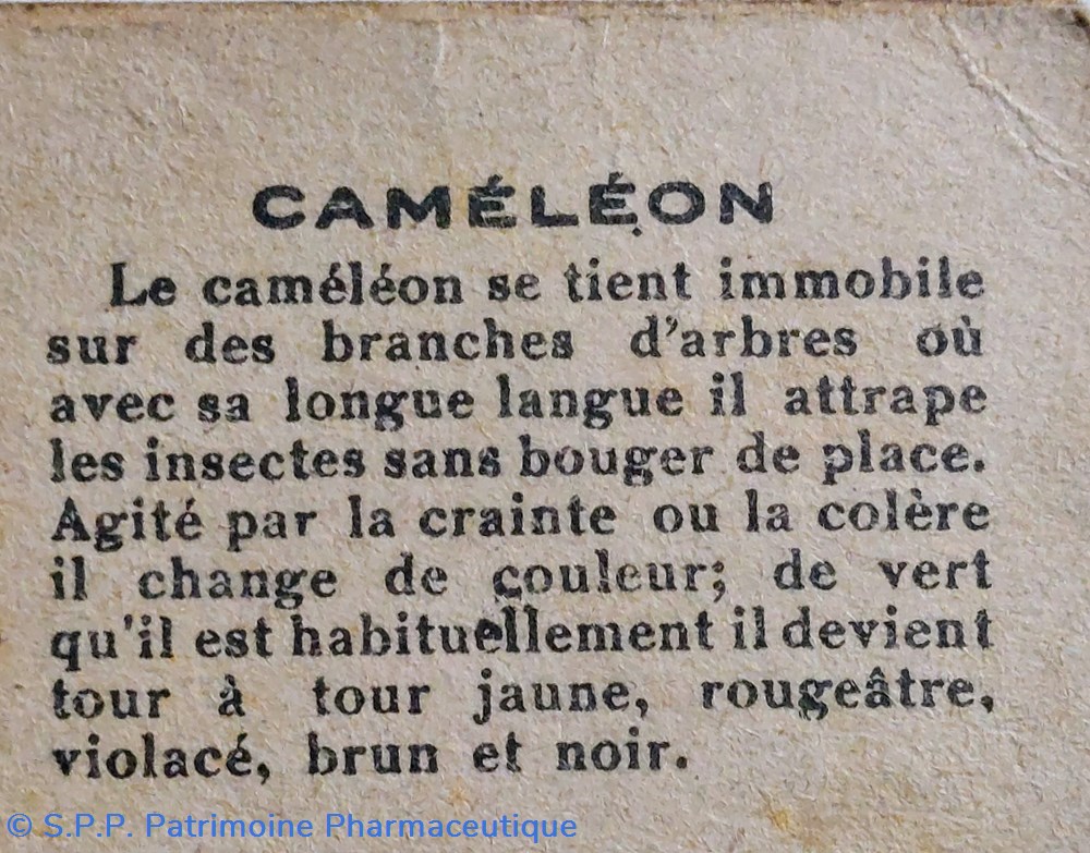science pharmacie bon point jacquemaire le cameleon