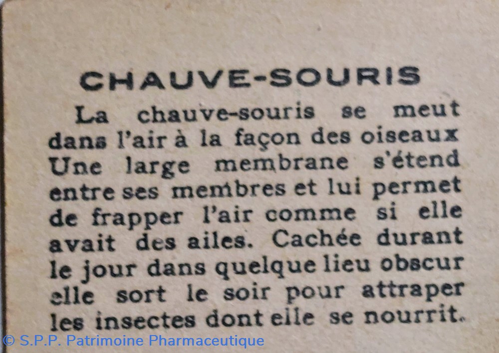 science pharmacie bon point jacquemaire la chauve souris