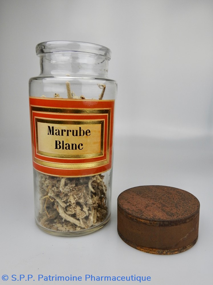 science flacon en verre herboristerie grand modele pharmacie ravasse