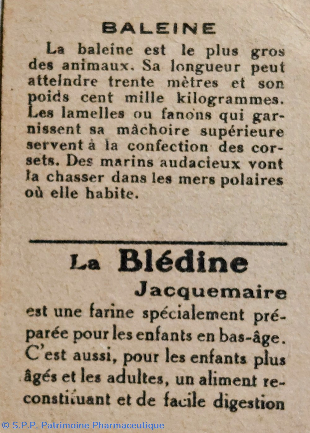 science pharmacie bon point jacquemaire la baleine et ses caracteristiques