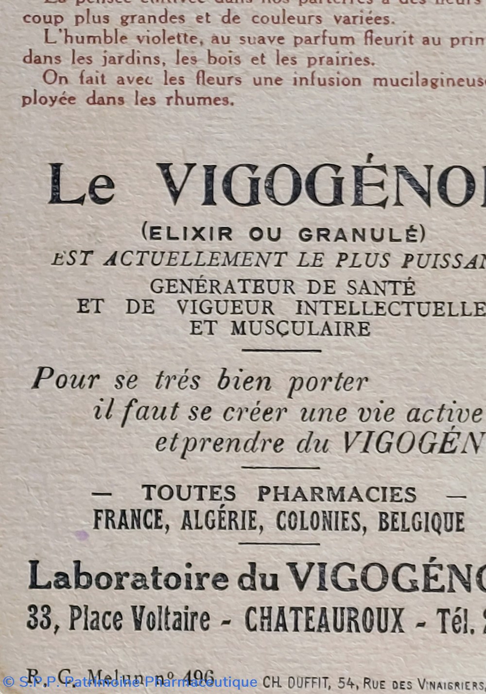Le VIGOGENOL/ Image Viola tricolor 4 science pharmacie le vigogenol image viola tricolor