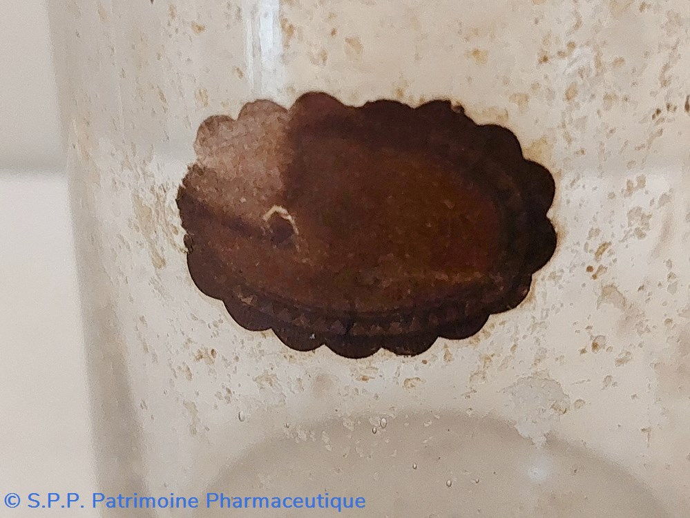 science pharmacie flores