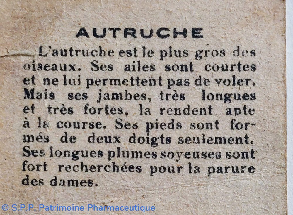 science pharmacie bon point jacquemaire autruche et ses caracteristiques