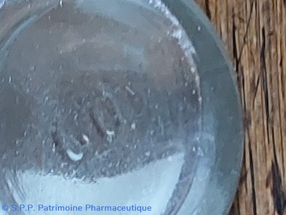 science pharmacie sirop de mures des bois flacon