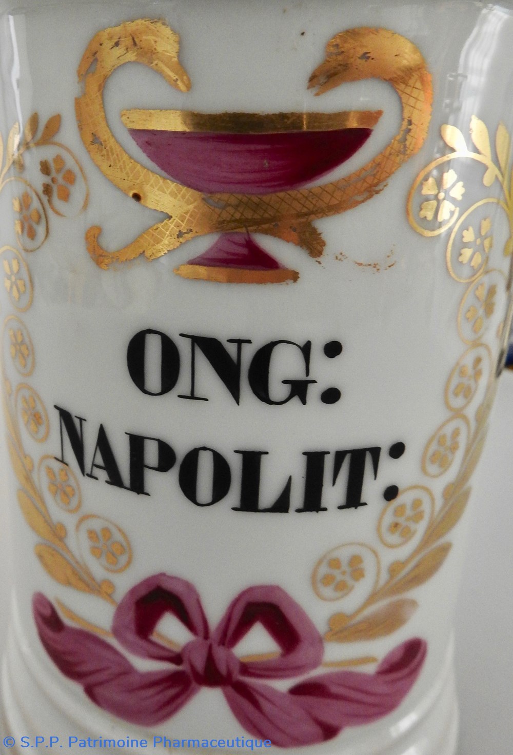 science pharmacie ong napolit