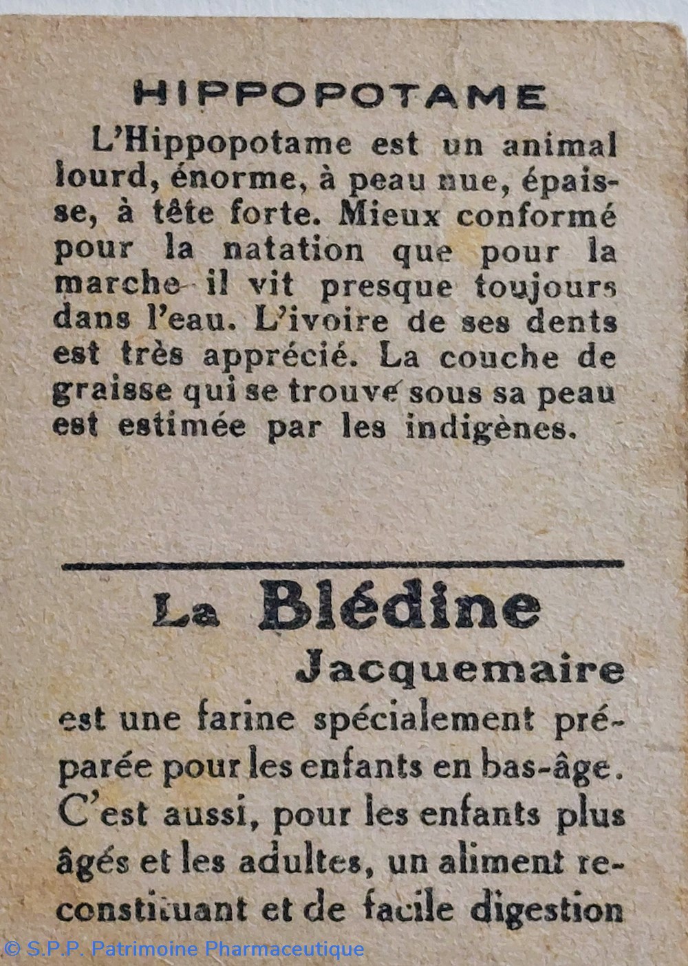 science pharmacie bon point jacquemaire hippopotame
