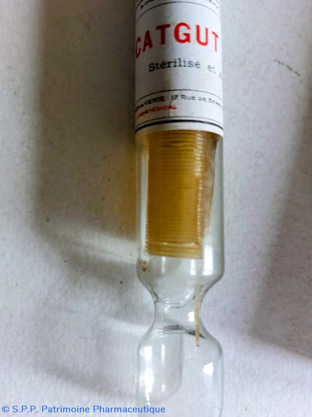 science pharmacie catgut n2