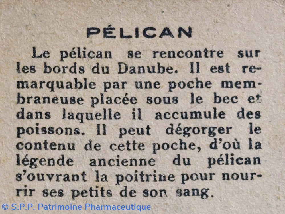 science pharmacie bon point jacquemaire le pelican