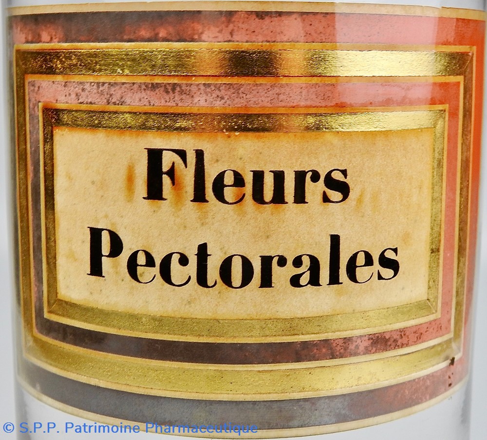 Flacon en verre Herboristerie très grand modèle Pharmacie RAVASSE 2 science flacon en verre herboristerie tres grand modele pharmacie ravasse