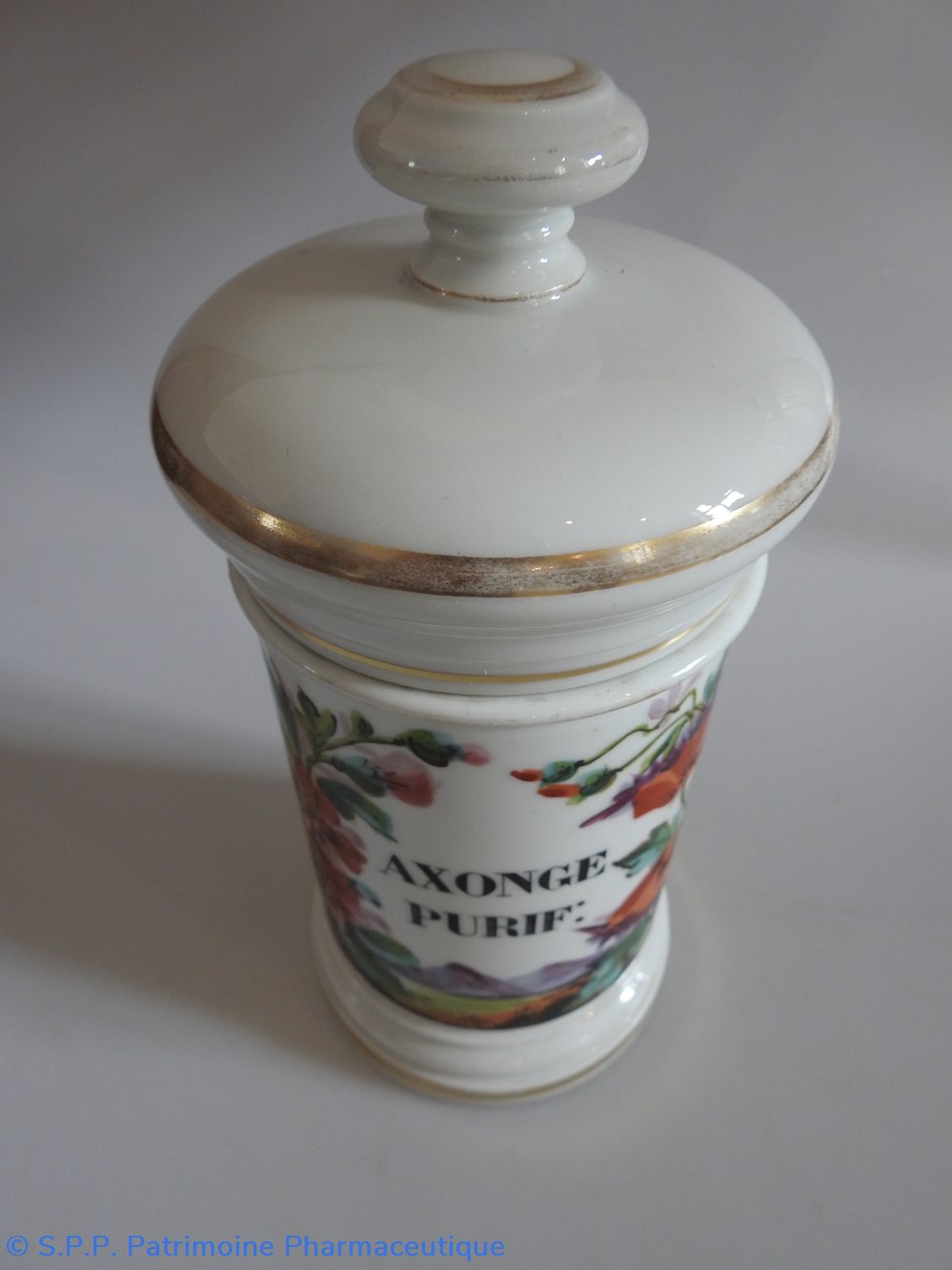 science pharmacie axonge purif