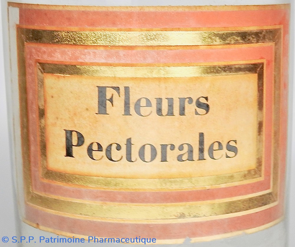Flacon en verre Herboristerie très grand modèle Pharmacie RAVASSE 2 science flacon en verre herboristerie tres grand modele pharmacie ravasse