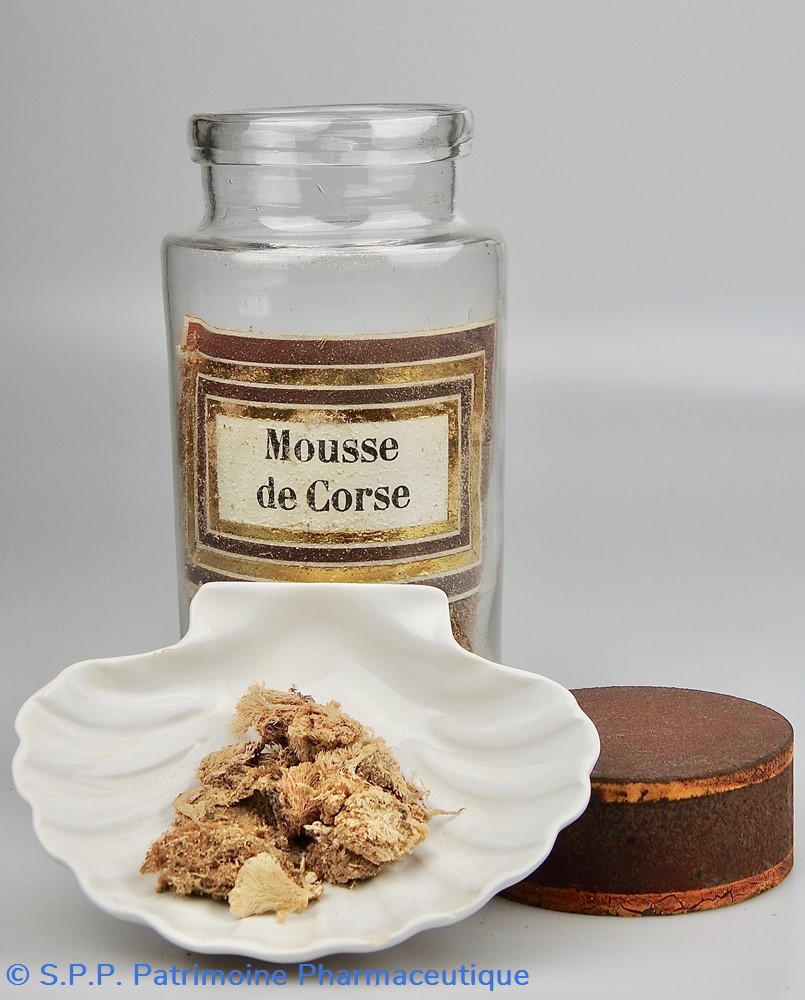 Flacon en verre Herboristerie grand modèle Pharmacie RAVASSE 5 science flacon en verre herboristerie grand modele pharmacie ravasse