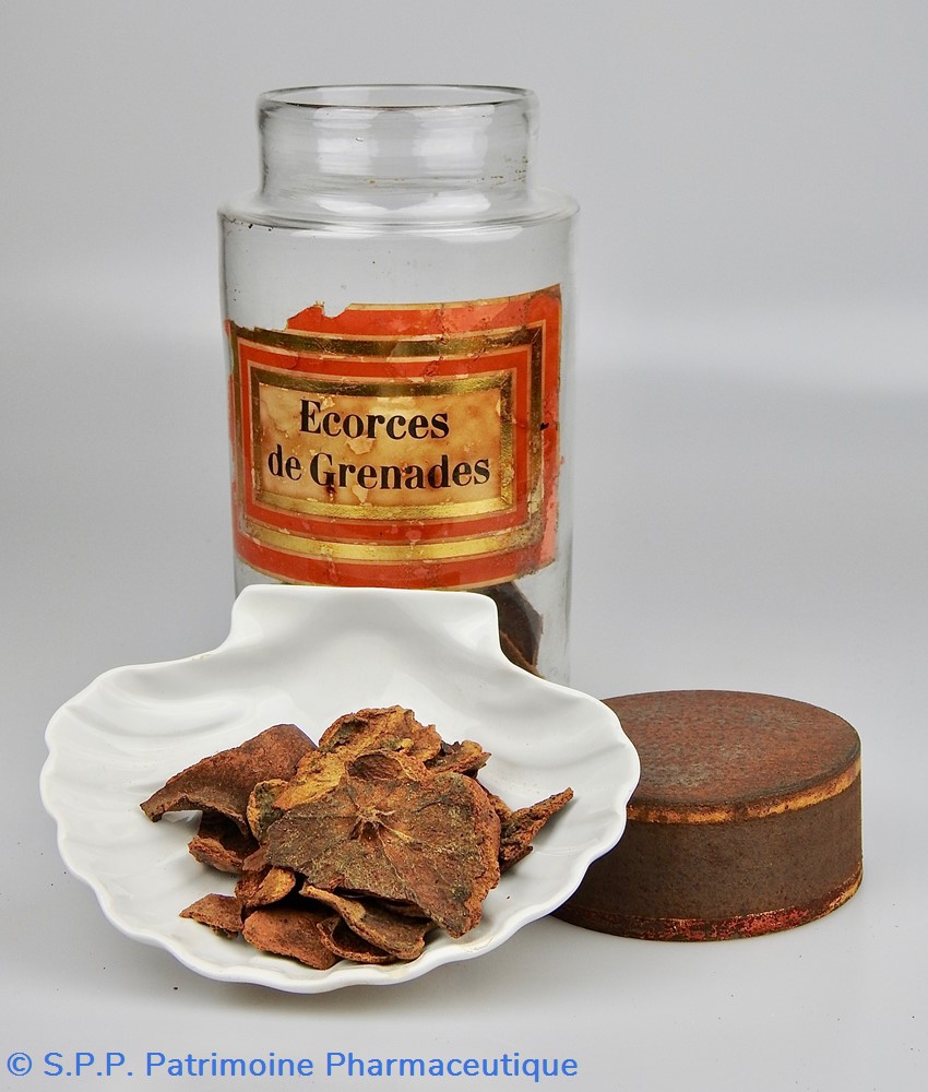 science flacon en verre herboristerie grand modele pharmacie ravasse