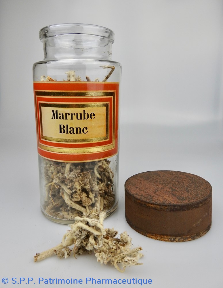 science flacon en verre herboristerie grand modele pharmacie ravasse