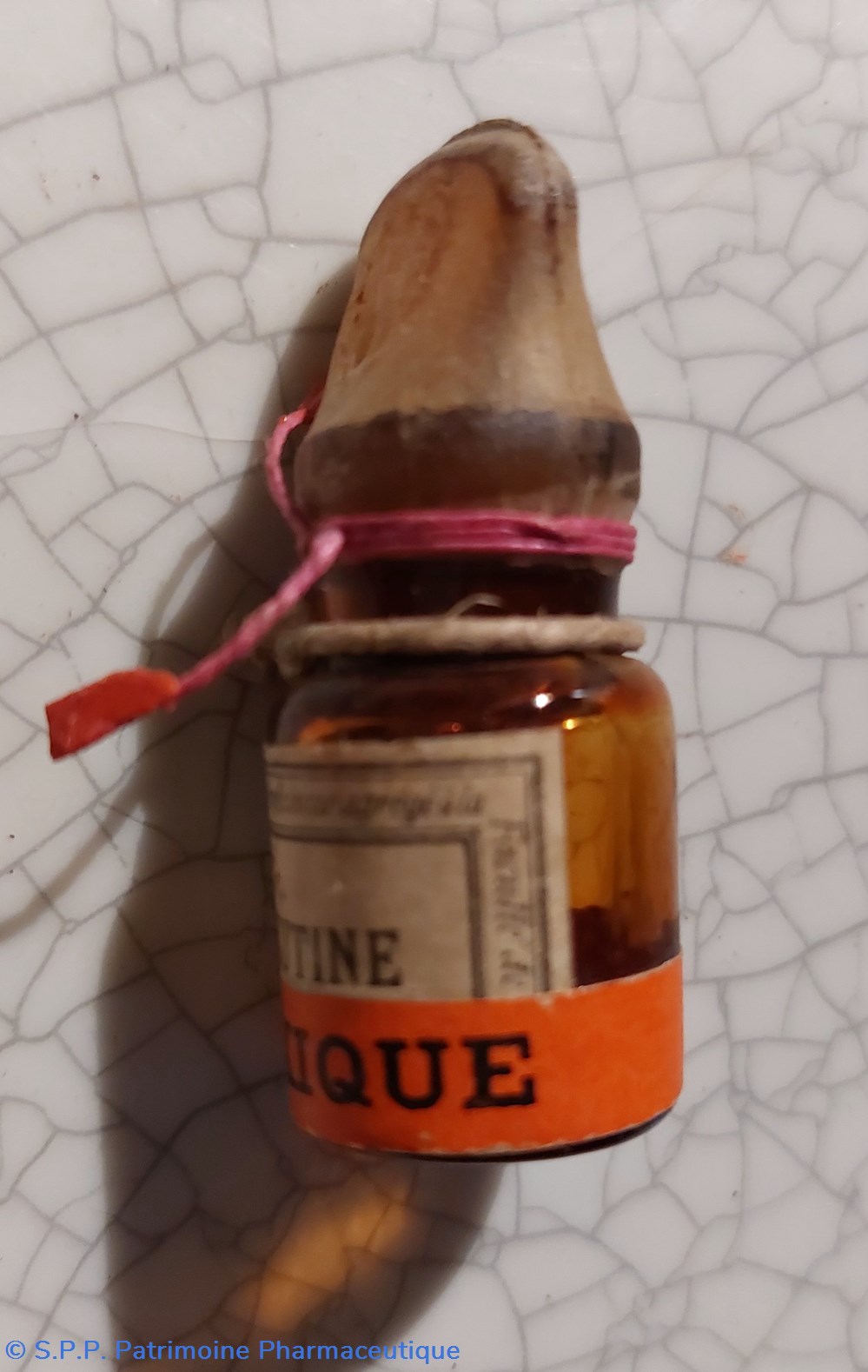 CICUTINE 1 Gr. (Liquide) 2 science cicutine 1 gr liquide