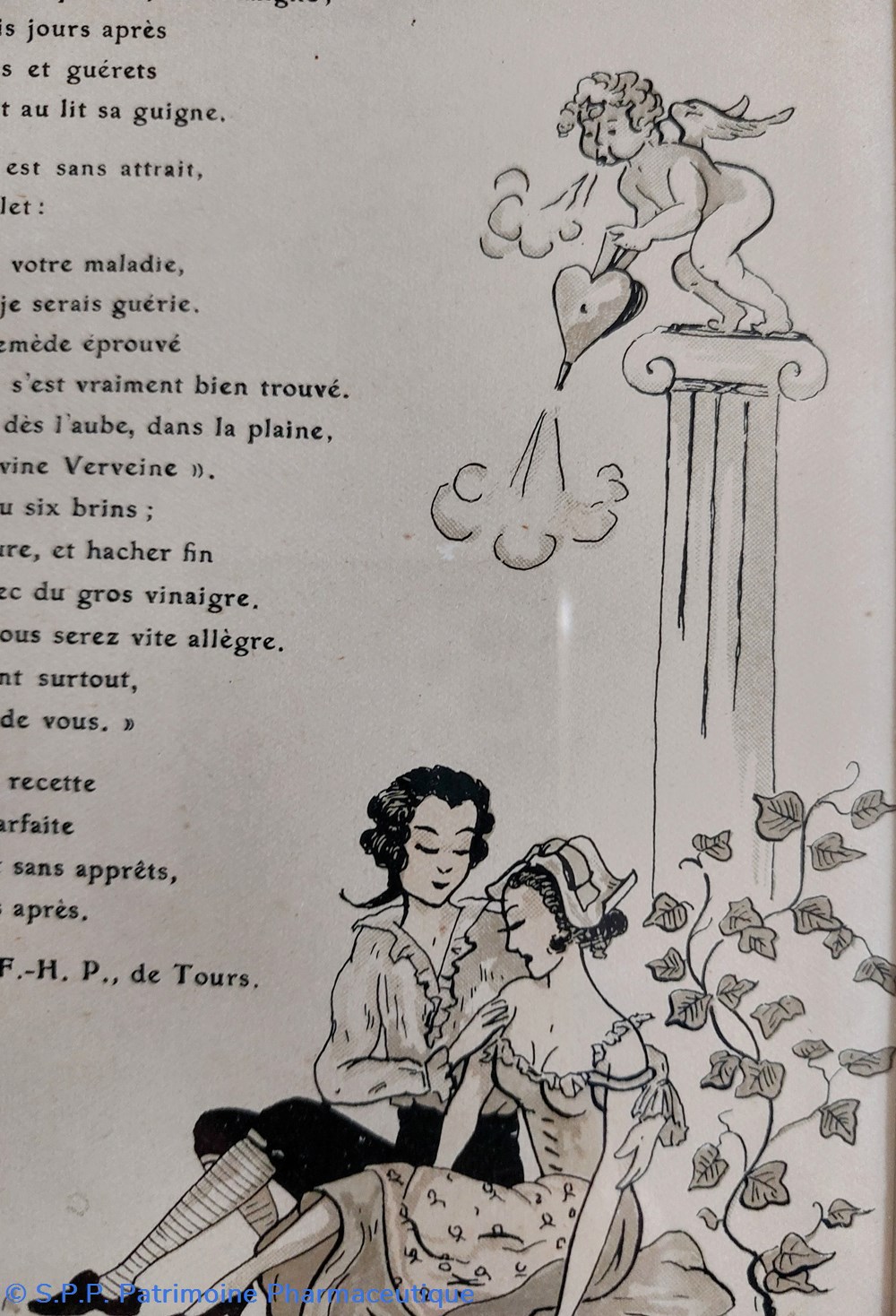 science pharmacie vieux remedes no 6 les rhumatismes