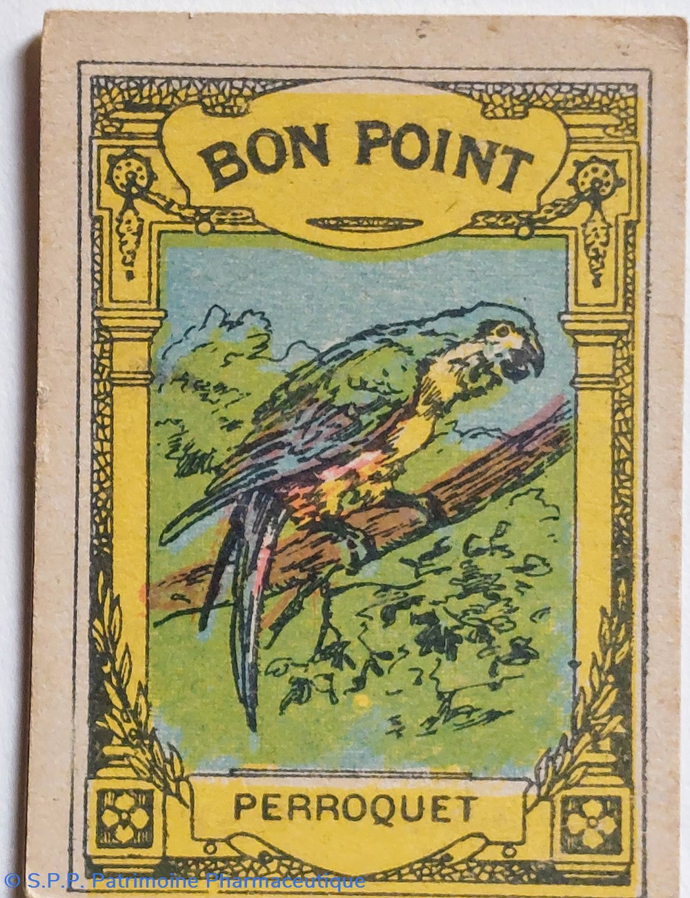 science pharmacie bon point jacquemaire le perroquet