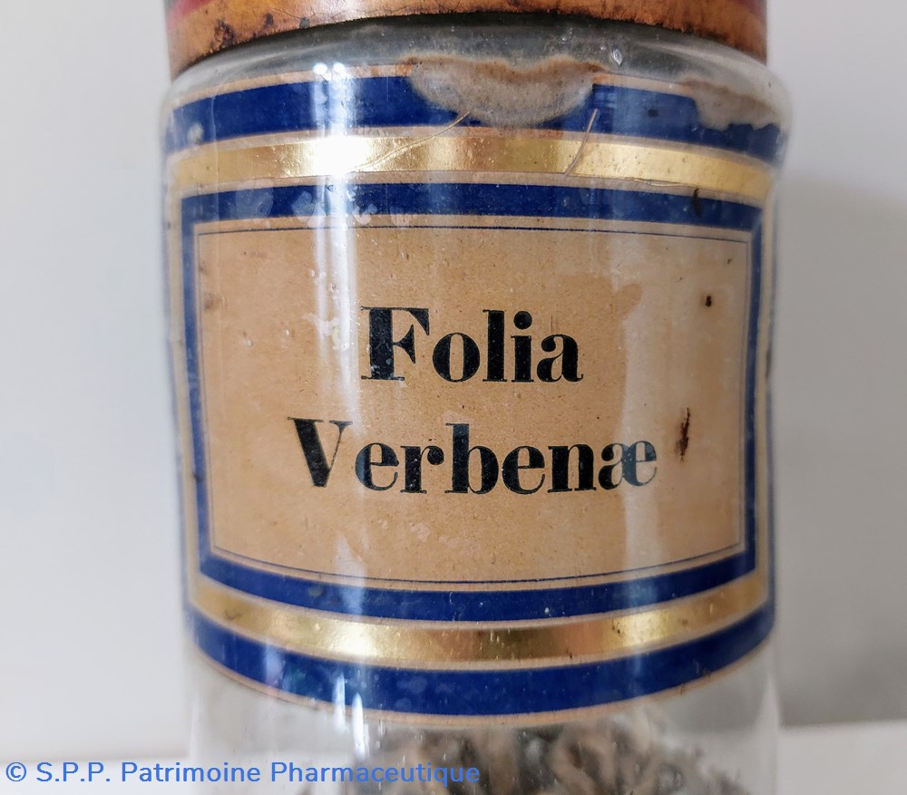 science pharmacie flacon herboristerie folia verbenae