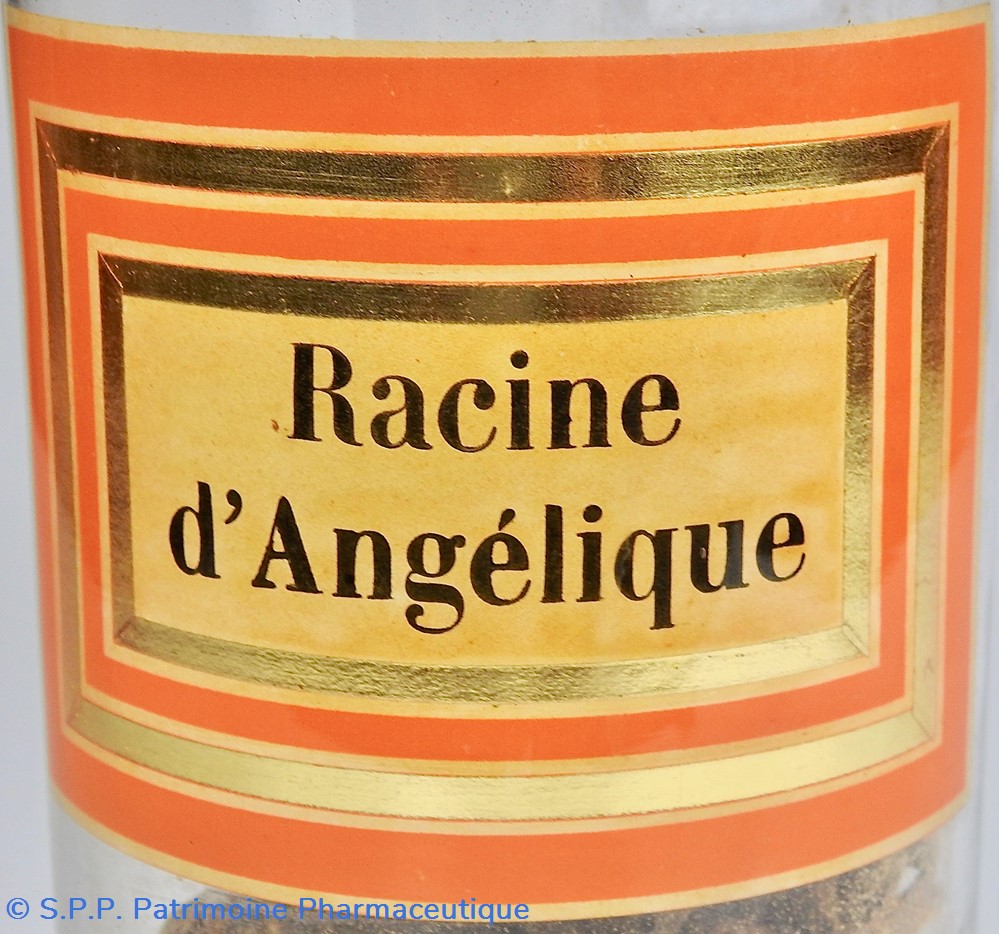 Flacon en verre Herboristerie grand modèle Pharmacie RAVASSE 2 science flacon en verre herboristerie grand modele pharmacie ravasse