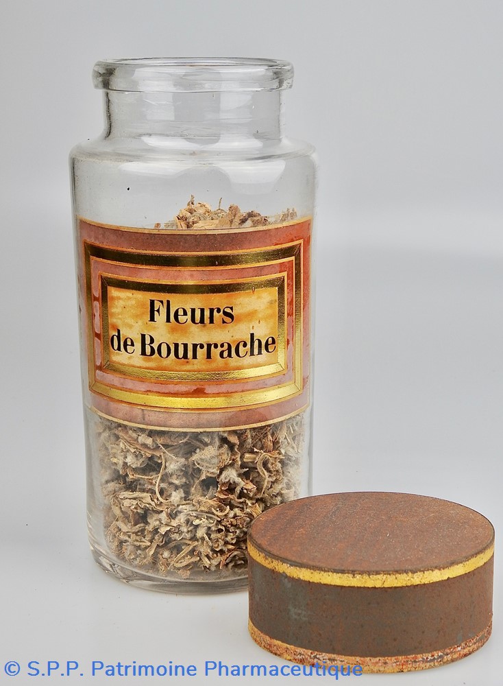 Flacon en verre Herboristerie grand modèle Pharmacie RAVASSE 3 science flacon en verre herboristerie grand modele pharmacie ravasse