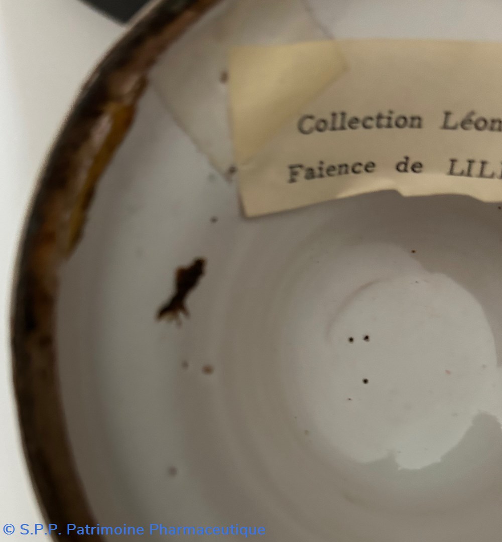 science pharmacie pot canon lille