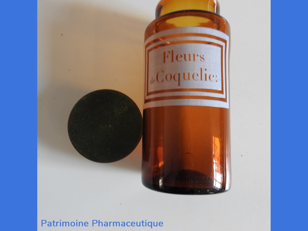 Fleurs de Coquelicot 4 science pharmacie fleurs de coquelicot