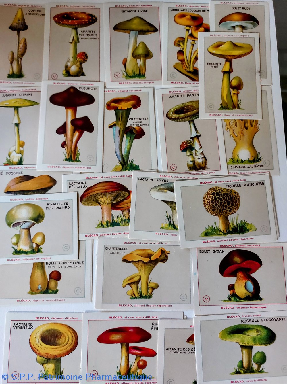 32 Cartes champignons Blécao à collectioner objets publicitaires 32 cartes champignons blecao a collectioner