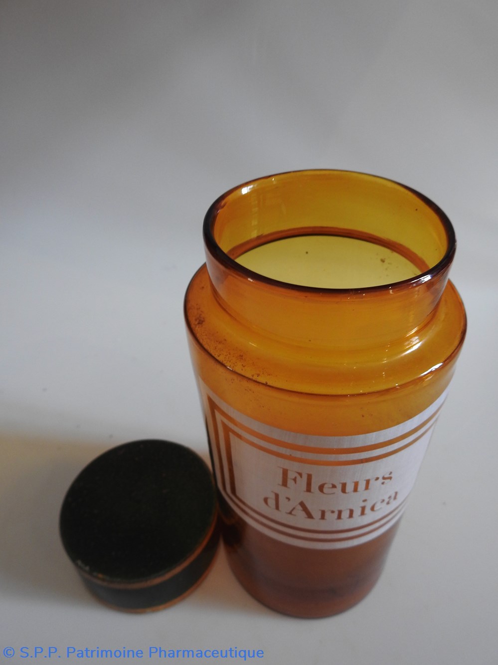Fleurs d'ARNICA 4 science pharmacie fleurs arnica