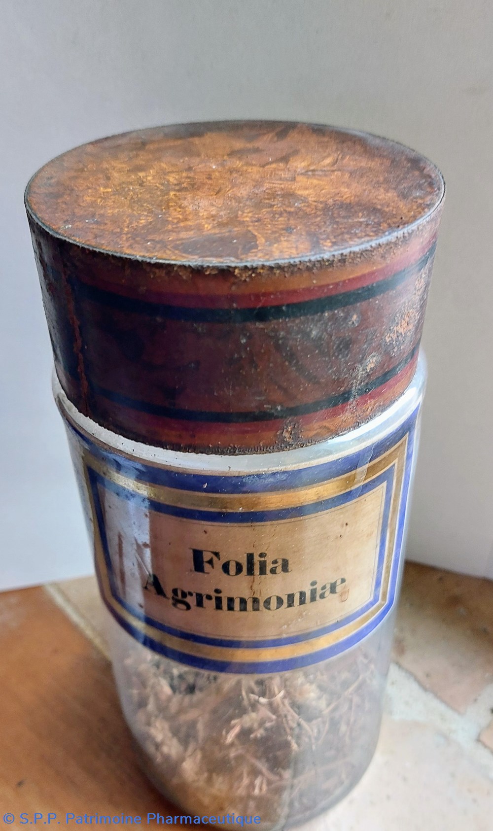 science pharmacie folia agrimoniae flacon herboristerie grand modele