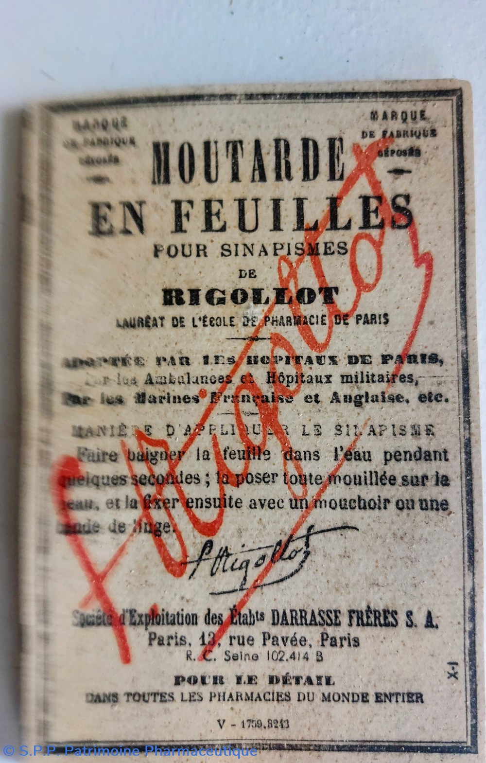 SINAPISMES RIGOLLOT ou MOUTARDE en feuilles science sinapismes rigollot ou moutarde en feuilles