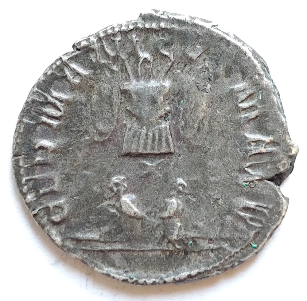 kunst antiquitaten gallienus koln