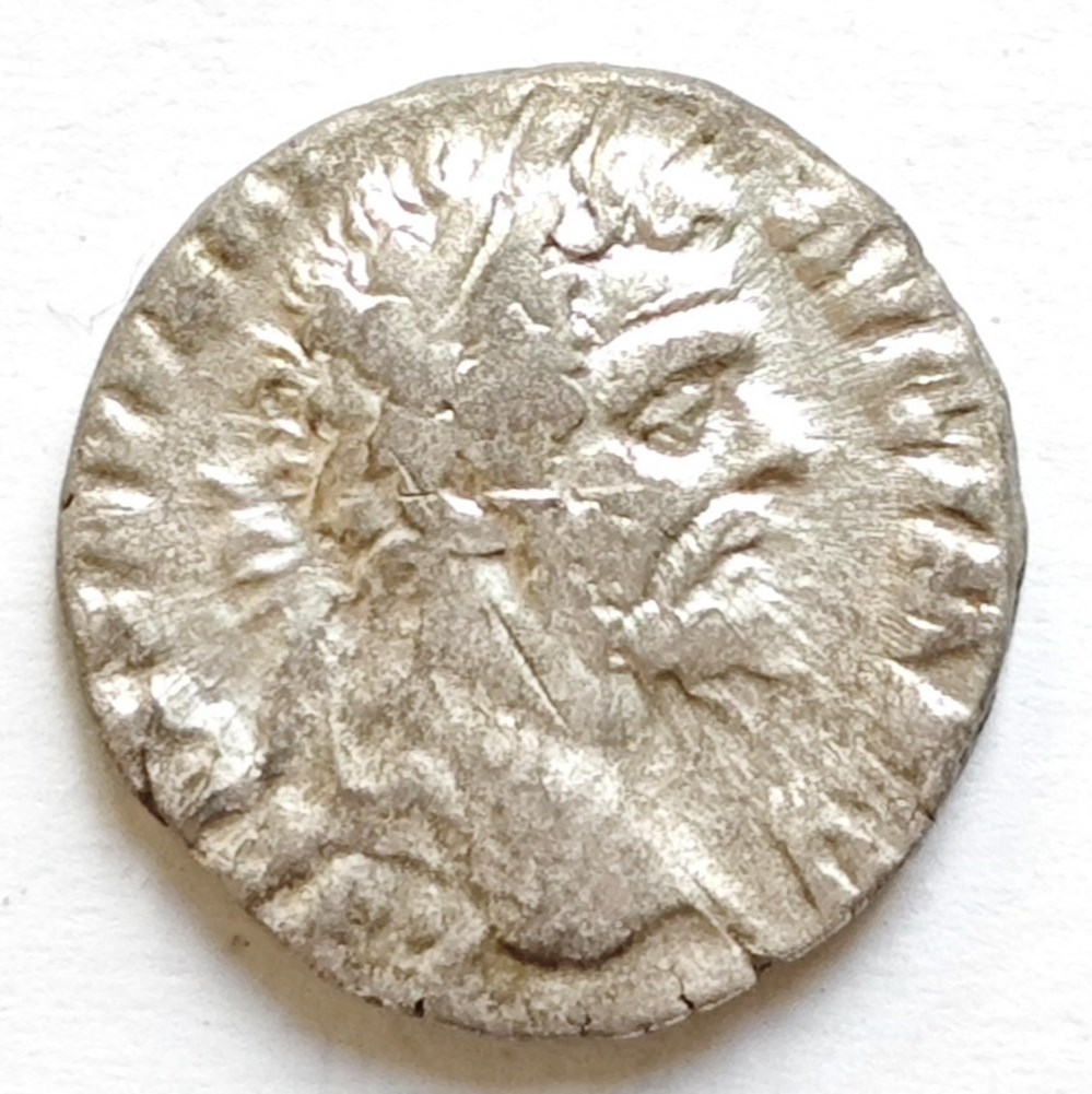 kunst antiquitaten septimius severus