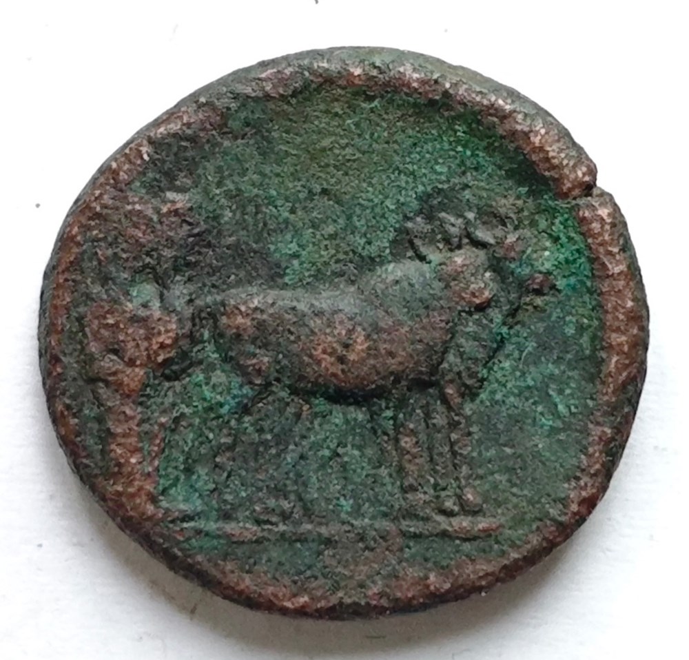 Augustus Philippi AE20 kunst antiquitaten augustus philippi ae20