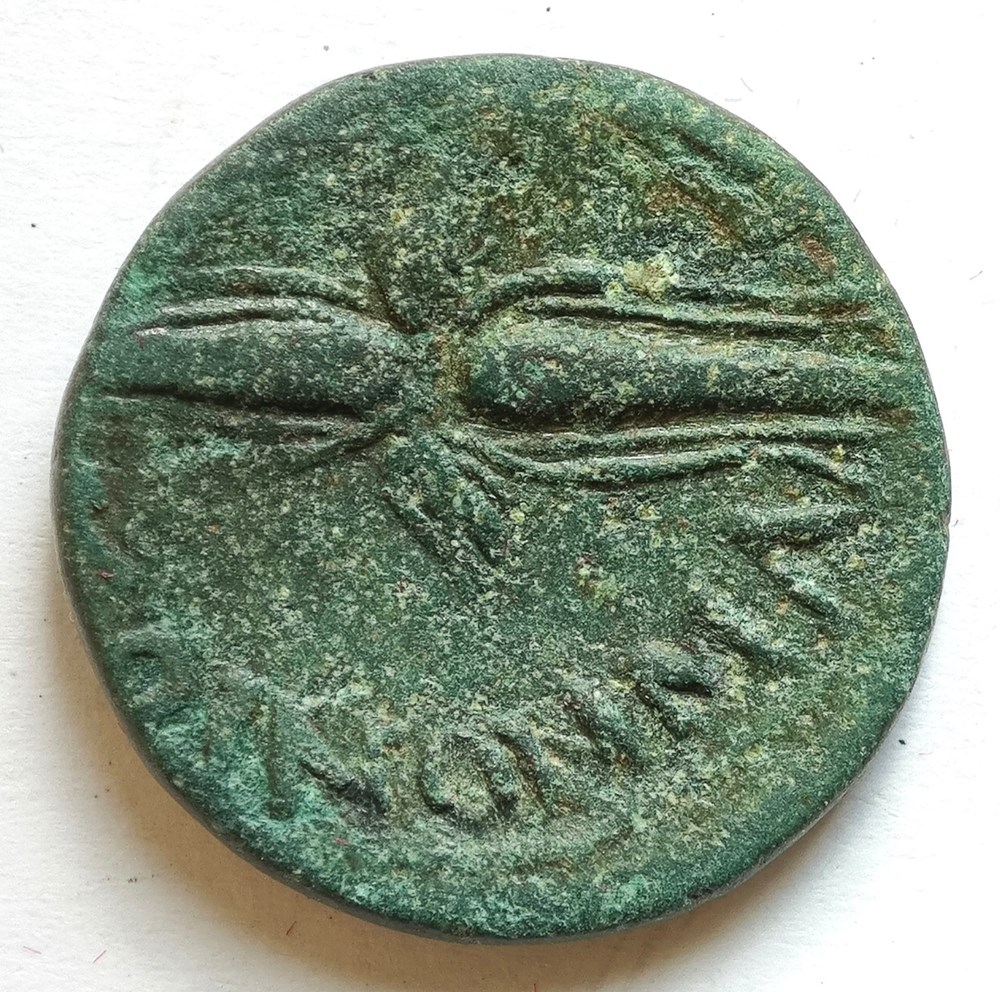 kunst antiquitaten antoninus pius macedon koinon ae23
