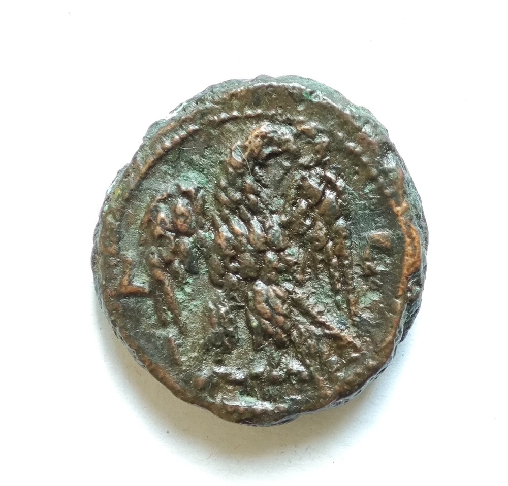 Probus Tetradrachm Alexandria kunst antiquitaten probus tetradrachm alexandria