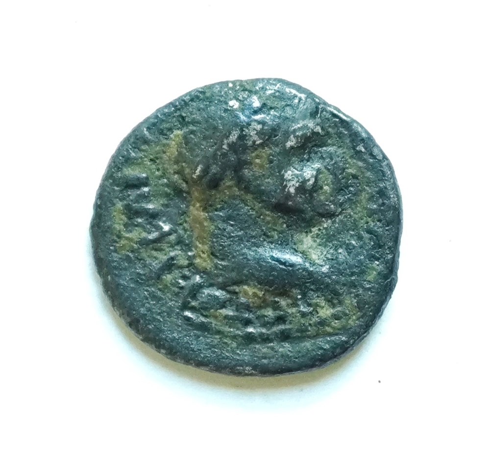kunst antiquitaten vespasian ar hemidrachm caesarea cappadocia