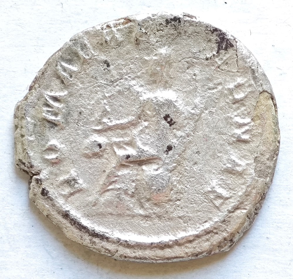 Gordianus III Antoninian alte dokumente gordianus iii antoninian