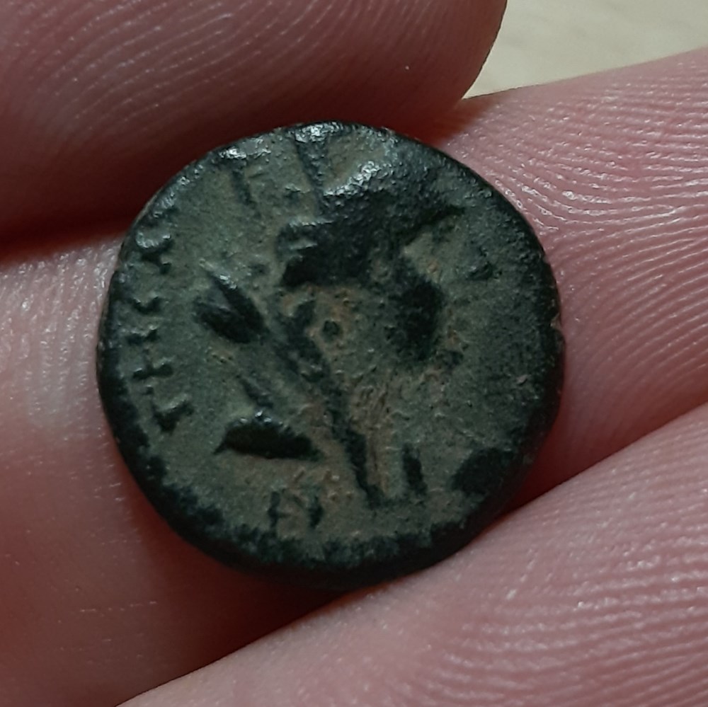 Hadrien - Pseudo-antonomous monnaies antiques romaines provinciales hadrien pseudo antonomous