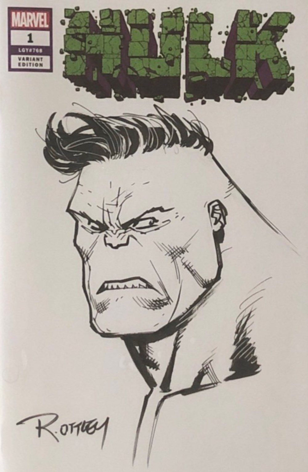 art antiquites populaire hulk blank cover ryan ottley pilot feutre