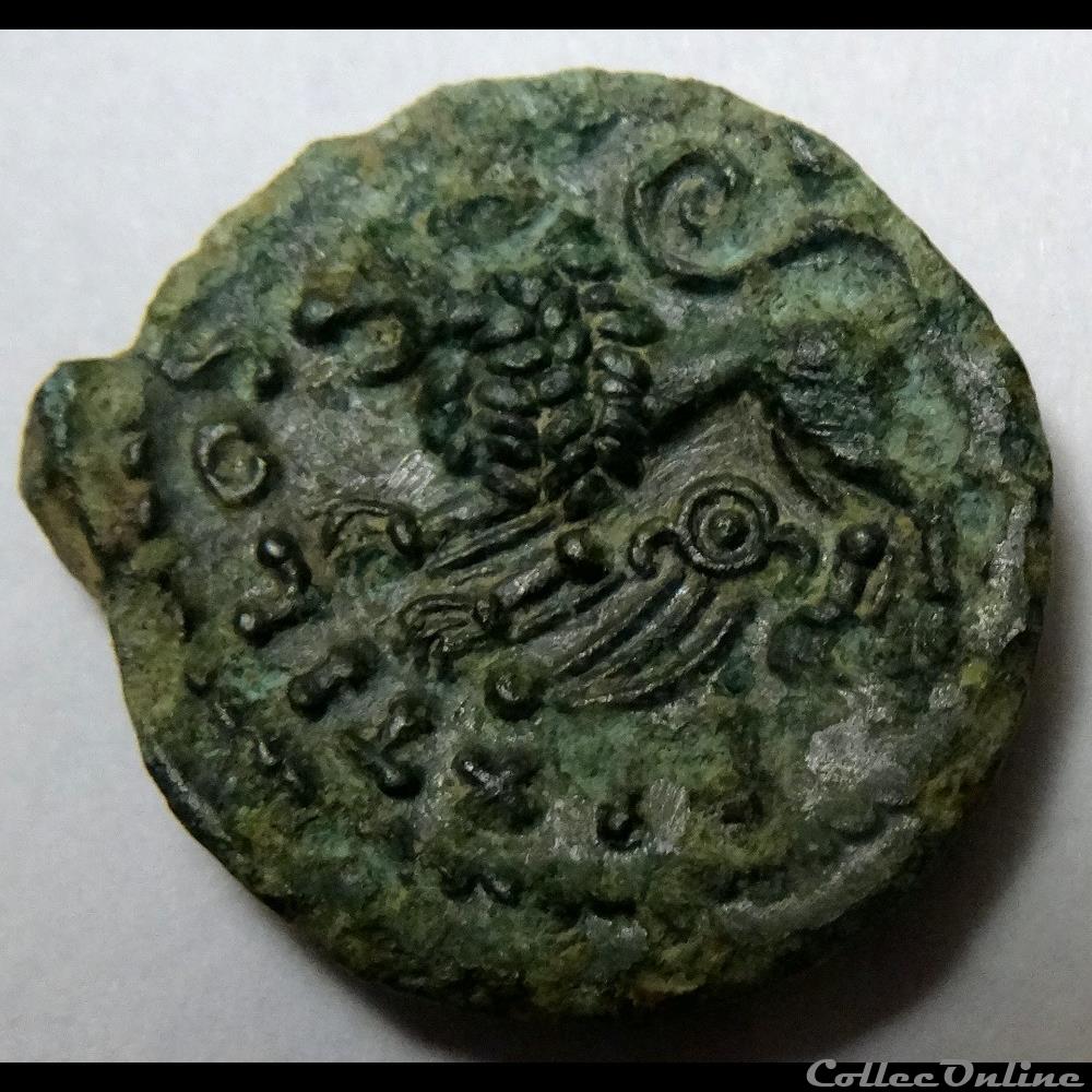 monnaie antique gauloise pixtilos carnutes bronze au lion