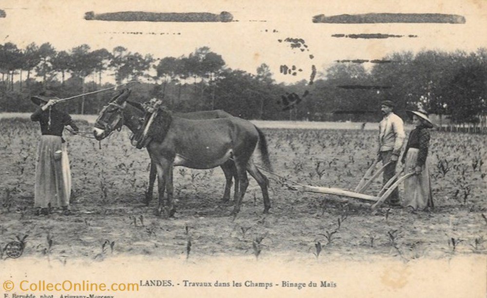 divers carte postale 40 landes