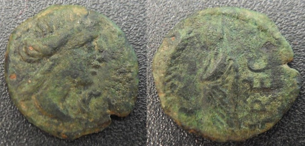 Volques Arécomiques (région de Nimes) Bronze au Démos monnaies antiques celtes volques arecomiques region de nimes bronze au demos