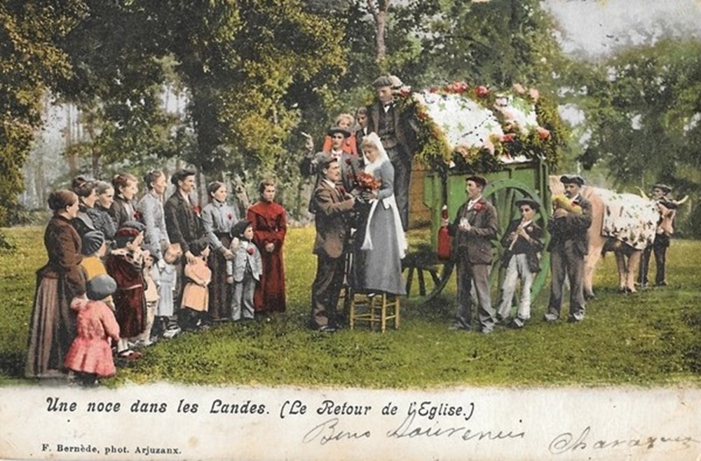 divers carte postale 40 landes