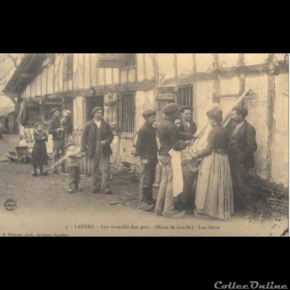 divers carte postale 40 landes leu tuouaille dou porc
