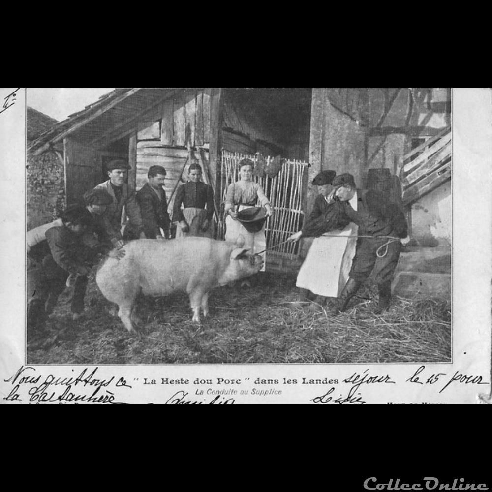 Carte Postale (40) "La Heste dou Porc" dans les Landes La conduite au supplice autre carte postale 40 la heste dou porc dans les landes la conduite au supplice