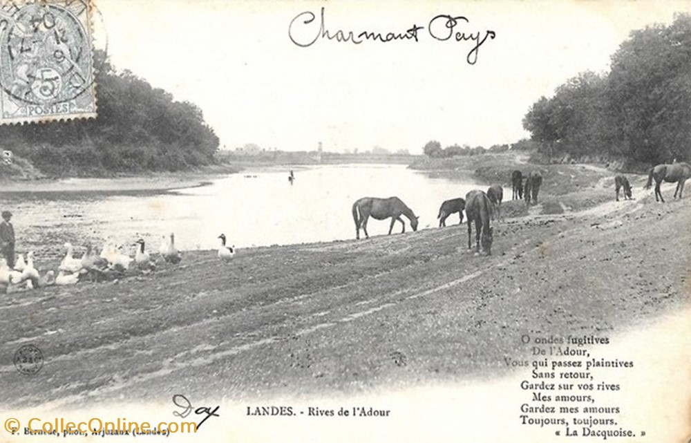 Carte Postale (40) Landes divers carte postale 40 landes
