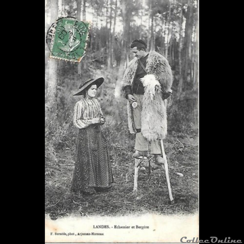 Carte Postale (40) Landes divers carte postale 40 landes